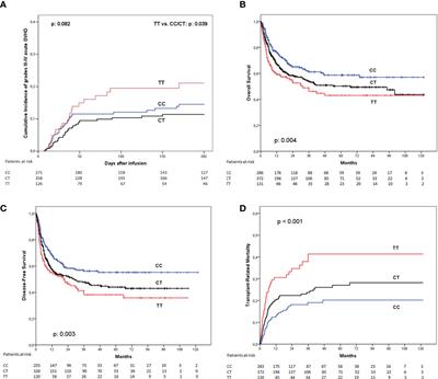 LAG3 genotype of the donor and clinical outcome after allogeneic transplantation from HLA-identical sibling donors